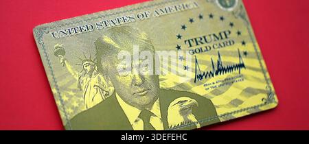 KIEW, UKRAINE - 13. DEZEMBER 2025 Trump Goldkarte Souvenir auf roter Farbe Hintergrund Oberfläche Nahaufnahme Stockfoto
