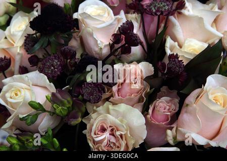 Nahaufnahme eines Blumenstraußes aus weißen und rosa Rosen Stockfoto