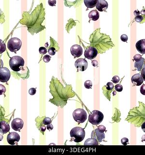 Botanische Frucht auf gestreiftem Aquarellmuster. Natürliches Blumenschmuck mit dunkelblauen Beeren auf weiß. Schwarze Johannisbeeren und Blätter Hand Stockfoto