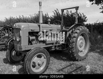 Dorchester.Dorset.Vereinigtes Königreich.6. September 2025.Ein restaurierter Fordson Super Major aus dem Jahr 1961 ist auf der Dorset County Show zu sehen Stockfoto