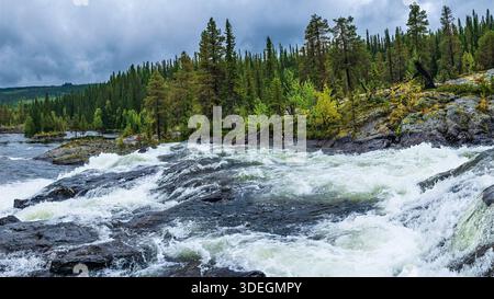Rauschendes Flusswasser stürzt über dunkle Felsen in einer natürlichen Waldlandschaft unter einem bewölkten Himmel und repräsentiert Wildnis, natürliche Energie und unberührte Natur Stockfoto