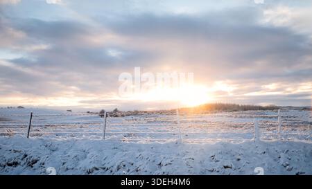 Weicher Wintersonnenaufgang über einer schneebedeckten ländlichen Landschaft mit frostigen Feldern, Zaunpfosten und bewölktem Himmel. Ruhige kalte Morgenatmosphäre in ländlicher Natur. Stockfoto