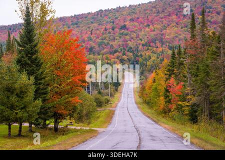Eine Straße umgeben von bunten Bäumen im Herbst - Neu England Stockfoto