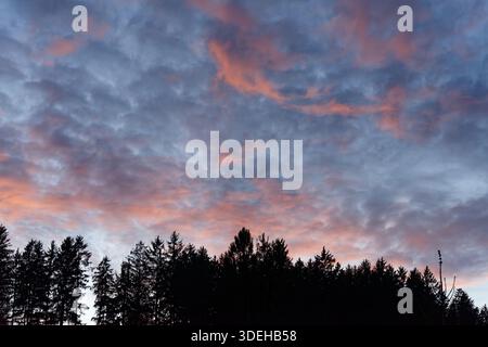 Rote Wolken im Bayerischen Wald sorgen im Winter für eine morgendliche Atmosphäre. Stockfoto