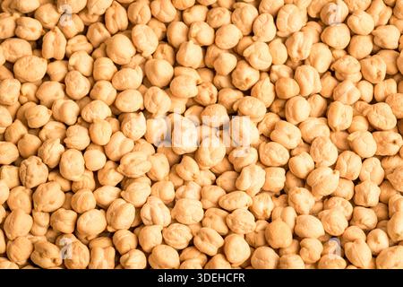 Vollbild-Nahaufnahme von ungekochten getrockneten Kichererbsen, die einen natürlichen beigen Texturhintergrund schaffen. Stockfoto