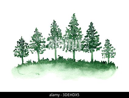 Grüne Nadeltannen und Gras Stockfoto