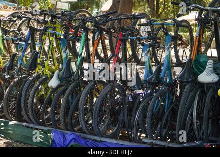 Eine Reihe farbenfroher Mountainbikes, die in einem grünen Park geparkt werden können. Umweltfreundlicher touristischer Transport und Freizeitaktivitäten in der Stadt. Stockfoto