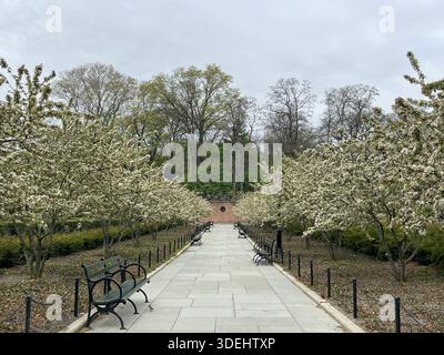Blühende Krabbenbäume füllen den Central Park mit sanften Frühlingsfarben in New York City. Stockfoto