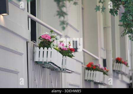 Blumen in Fensterkästen erhellen ein Gebäude auf einer Straße Stockfoto