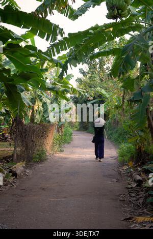 Eine einsame vietnamesische Frau geht auf einem von Bananenbäumen gesäumten Feldweg in einem ländlichen Dorf mit einem traditionellen konischen Hut. Üppiges Grün und ein Kal Stockfoto