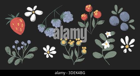 Buntstift-Kritzelblüten und Beeren isoliert auf Schwarz gesetzt. Vektor-Illustration von netten handgezeichneten Pastellpflanzen, heller Farbe botanisches Design, Garten-, Feld- oder Waldelemente, Grußkarte Dekoration Stock Vektor