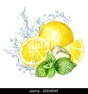 Frische Zitrusfrucht, Minzblätter, Eiswürfel und Spritzer kristallklares Wasser. Handgemalte Aquarellabbildung isoliert auf weißem Hintergrund Stockfoto