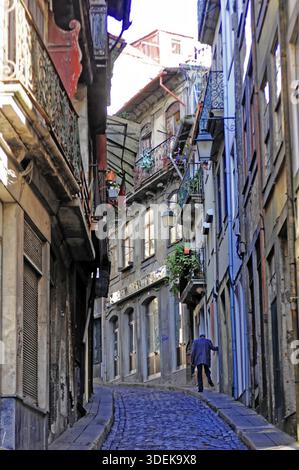 Eine enge, gewundene Kopfsteinpflasterallee zwischen alten Gebäuden, Porto, Nordportugal, Portugal Stockfoto