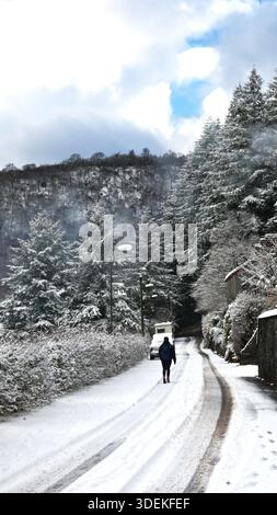 Person, die eine schmale Gasse entlang geht, die mit schneebedeckten Kiefern bedeckt ist. Stockfoto