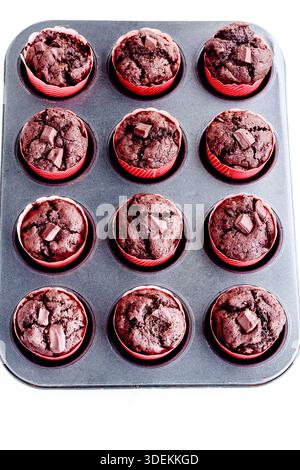 Frisch gebackene Schokoladen-Muffins in Muffintablett, Draufsicht, vertikal Stockfoto