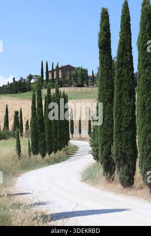Von zypressen gesäumter Weg führt zu einem Haus auf dem Hügel in Val d'Orcia, Toskana, Italien Stockfoto