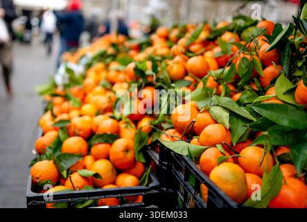 Mandarinen Auf Dem Gemüsemarkt Stockfoto