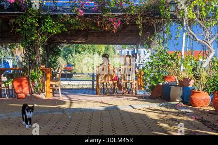 Auf der Außenterrasse des Restaurants am Meer gibt es üppige Bougainvillea, die an einer hölzernen Pergola hängt, Holzstühle, Stockfoto