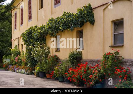 Traditionelles gelbes Alpenhaus in den österreichischen Alpen, dekoriert mit lebendigen Blumentöpfen, die ländliche Bergarchitektur und Ruhe zeigen. Stockfoto