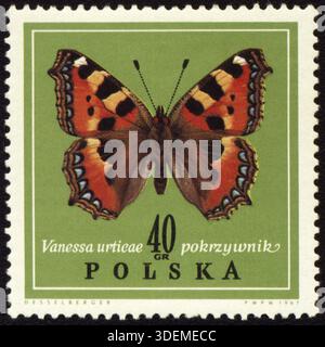 POLEN - CA. 1967: In Polen gedruckte Briefmarke zeigt Schmetterling Vanessa urtieae, ca. 1967 Stockfoto