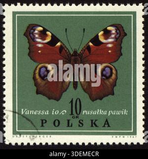 POLEN - CA. 1967: In Polen gedruckte Briefmarke zeigt Schmetterling Vanessa, ca. 1967 Stockfoto
