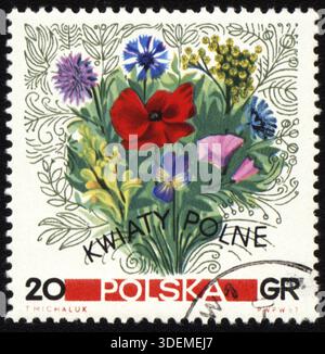 POLEN - CA. 1967: Stempel gedruckt in Polen, zeigt einen Blumenstrauß aus Wildblumen, ca. 1967 Stockfoto
