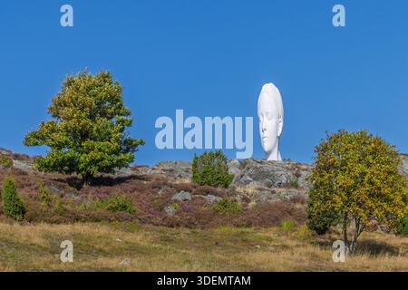 Tjorn, Schweden - 3. September 2025: Ein großer weißer Skulpturenkopf an der Skulptur i Pilane erhebt sich über einem felsigen Hügel, der von Grün umrahmt wird Stockfoto