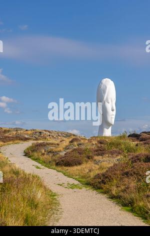 Tjorn, Schweden - 3. September 2025: Ein großer weißer Skulpturenkopf an der Skulptur i Pilane erhebt sich über einem felsigen Hügel, der von Grün umrahmt wird Stockfoto
