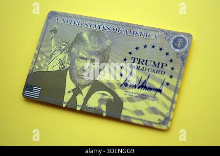 KIEW, UKRAINE - 13. DEZEMBER 2025 Trump Goldkarte Souvenir auf gelber Farbe Hintergrund Oberfläche Nahaufnahme Stockfoto
