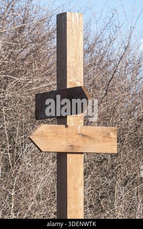 Leere hölzerne Schilder mit Pfeilen auf dem Hintergrund der Wintervegetation Stockfoto