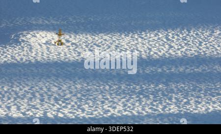 Die ruhige Winterlandschaft bietet einen schneebedeckten Boden mit sanften Kräuselungen und einen einsamen Baum, der die Ruhe und Schönheit der Natur unterstreicht Stockfoto