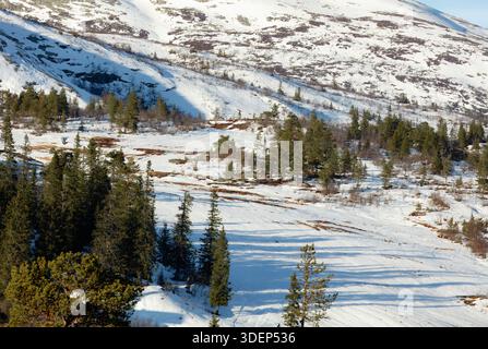 Die Winterlandschaft mit schneebedeckten Bergen und immergrünen Bäumen schafft eine friedliche Atmosphäre, die die Schönheit der Natur und die Ruhe betont Stockfoto