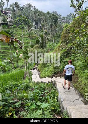 Malerischer Blick auf die Tegallalang Reisterrasse in Bali, Indonesien, mit üppigem Grün, gewundenen Pfaden und tropischer Landschaft Stockfoto