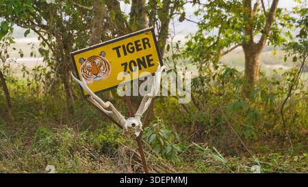 Ein verwittertes Schild mit der Aufschrift „Tiger Zone“ steht im dichten Dschungel und markiert das Gebiet der majestätischen Großkatze. Stockfoto