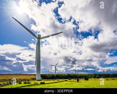 Windpark, Südosten Schottlands, Großbritannien Stockfoto