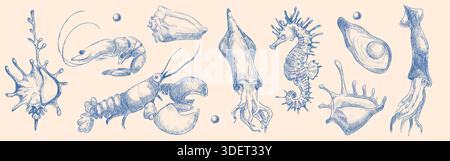 Sketch-Kollektion aus Muscheln mit handgezeichneten Illustrationen aus Meeresfrüchten in blauer Tinte. Vintage-gravierte Meeresbewohner – Hummer und Tintenfisch, Garnelen und Seepferdchen. Meereslebewesen kritzelt mit Muscheln Stock Vektor