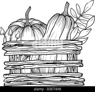 Holzkiste mit Kürbissen, Blättern, Pilzen. Handgezeichnete Vektorgrafiken. Einfache schwarze grafische Zeichnung einer Gartenkomposition. Umrissdarstellung für Stock Vektor