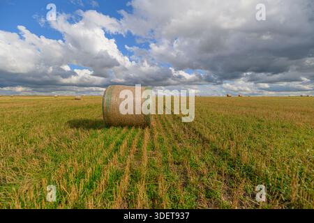 Im Herzen eines lebendigen grünen Feldes ragt ein einsamer Heuballen unter einem dramatischen Himmel voller Wolken hervor Stockfoto