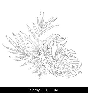 Palmblätter und Monstera, Guzmania Blume auf einer Ecke Komposition, Skizze. Vektorabbildung. Tropische Baumblätter isoliert auf weißem Hintergrund. Lus Stock Vektor