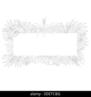 Palmen- und Monsterablätter, schwarz-weiße Skizze. Vektorabbildung. Tropische Baumblätter auf rechteckigem Postkartenrahmen, isoliert auf einem weißen Hintergras Stock Vektor