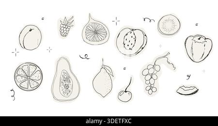 Frucht Doodle Sketch handgezeichnet Set tropische und Gartenfrüchte und Beeren. Dekorative Vektorelemente für Poster, Plakat, Grußkarte, Menü oder Hochzeitseinladung. Vektorabbildung Stock Vektor