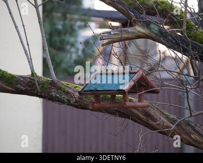 Vogelfutter aus Holz hängt an Baumzweig Stockfoto