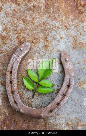 Rostiges Hufeisen für viel Glück Stockfoto