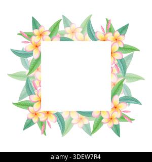 Quadratischer tropischer Rahmen mit Plumeria-Blumen isoliert auf weiß. Handgezeichneter exotischer Blumenrand mit Frangipani-Blüten Stockfoto