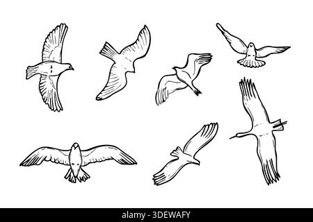 Wilde Vögel fliegen Silhouette Set Vektor isolierte Illustration. Einfache Linienzeichnung von Vögeln kritzelnd. Raubvogel, Storch, Kran, Möwe im Himmel Stock Vektor