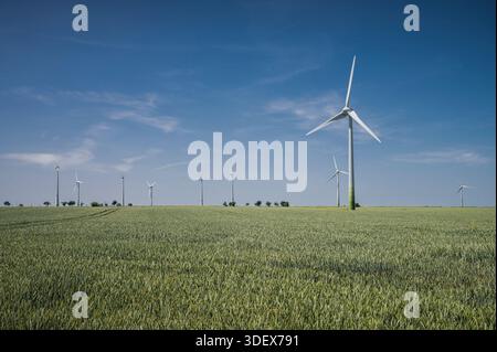 Windräder vor blauem Himmel, ein Kornfeld im Vordergrund Stockfoto