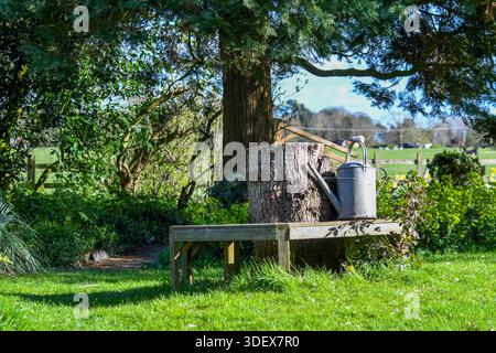 Friedliche ländliche Gartenszene in Lutterworth, mit Holzbank, Baumstumpf und Metallgießkanne inmitten üppigen Grüns. Stockfoto