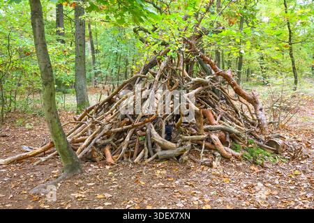 Primitive Forest Shelter aus ineinander verwobenen Zweigen in Tipi-Form, die handwerkliche Handwerkskunst und natürliche Textur in einer Waldlandschaft einfangen Stockfoto