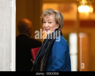 London, Großbritannien. 29. Januar, 2019. Andrea Leadsom MP, Führer des Unterhauses, Herr Präsident des Rates, kommt an der Kabinettssitzung; MPs vo Stockfoto