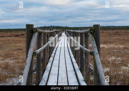 Holzsteg durch eine nebelige Estnische Moorlandschaft im frühen Winter mit leichtem Frost und Holzdielen. Stockfoto
